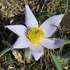 Main image mini