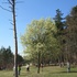 Main image mini