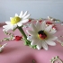 Main image mini