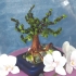 Main image mini