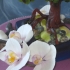 Main image mini