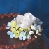 Main image mini