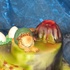 Main image mini
