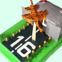 Náhled DortF16TigerMeet.php