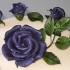 Main image mini