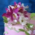 Main image mini
