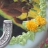 Main image mini