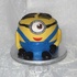 Main image mini