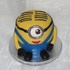 Main image mini
