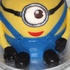 Main image mini