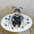 Main image mini