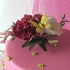 Main image mini