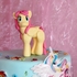 Main image mini