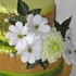 Main image mini