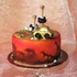 Main image mini