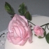 Main image mini