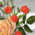 Main image mini