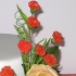 Main image mini