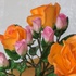 Main image mini