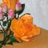 Main image mini