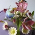 Main image mini