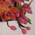 Main image mini