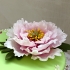 Main image mini