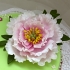 Main image mini