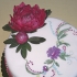 Main image mini