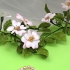 Main image mini