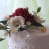 Main image mini