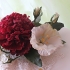 Main image mini