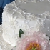 Main image mini