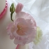 Main image mini