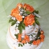 Main image mini