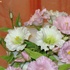 Main image mini