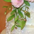 Main image mini