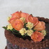 Main image mini
