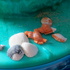 Main image mini