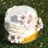 Main image mini