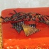 Main image mini