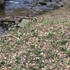Main image mini