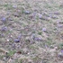 Main image mini